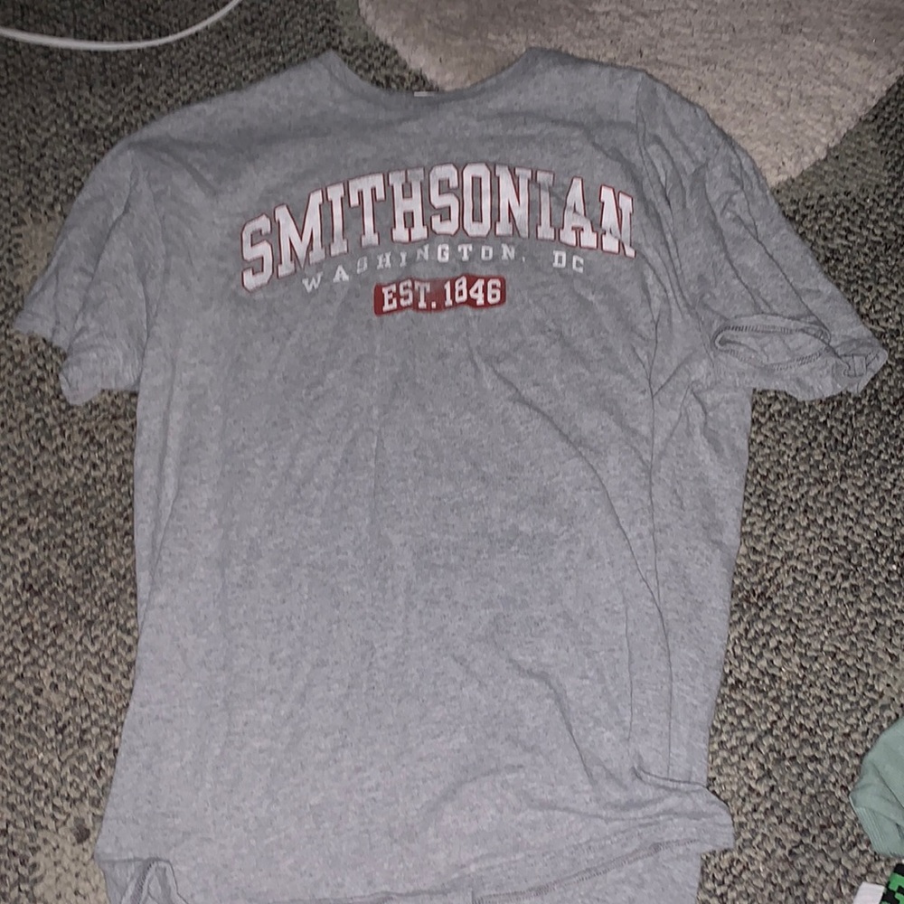 Gray Smithsonian Washington DC T-Shirt